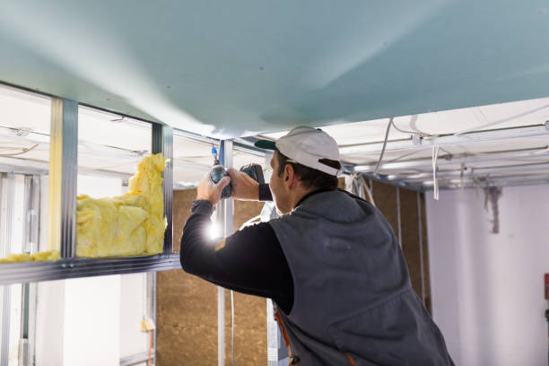 Best Cellulose Insulation in Verona, MS