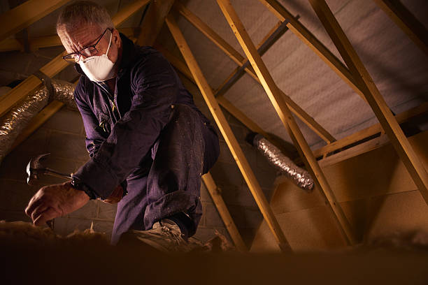 Trusted Verona, MS Insulation Contractor Experts